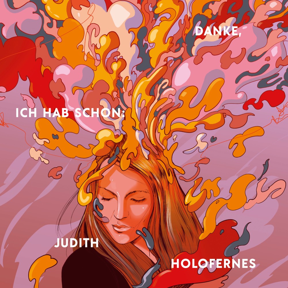 Judith Holofernes Danke, Ich Hab Schon Vinyl-Box 435397